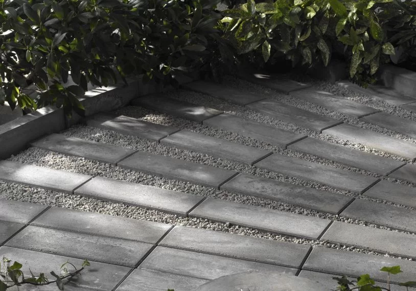 31c5c6889561b03a230cbfe0ba9a7542